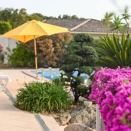Serena - - Piscine - Porticcio Villa
