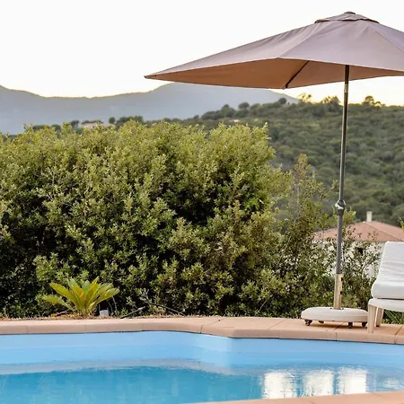 Villa Serena - - Piscine - Porticcio